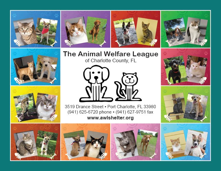 The Animal Welfare League